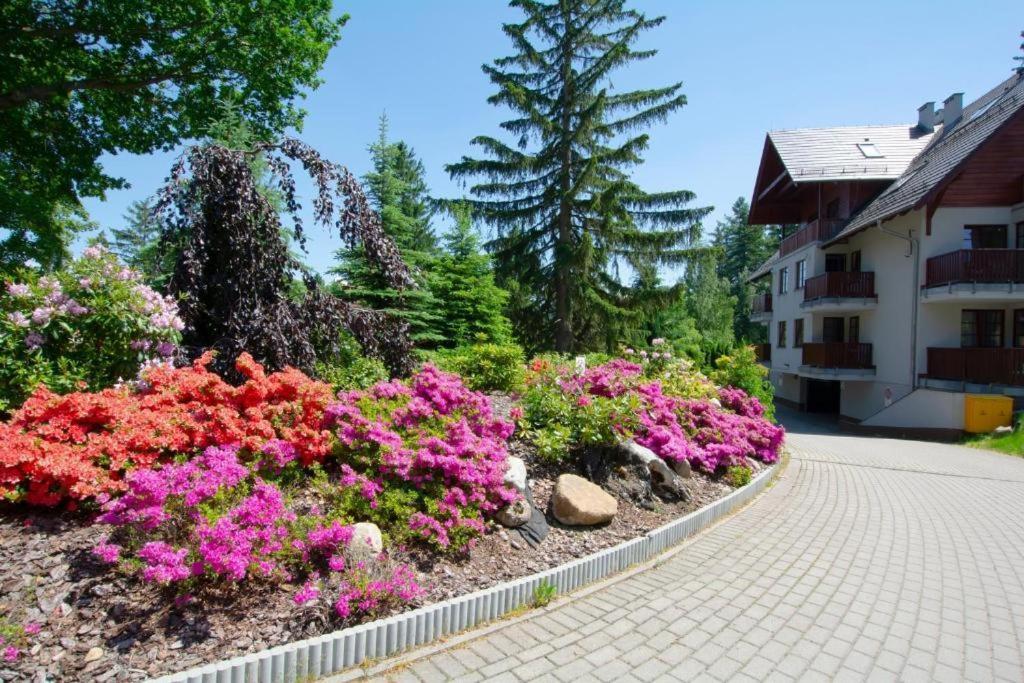 Apartament Polana-Karpacz Exterior foto